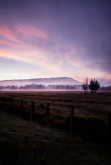 Sabanas de Cundinamarca en las afueras de Bogotá, amanecer en sabanas colombianas
