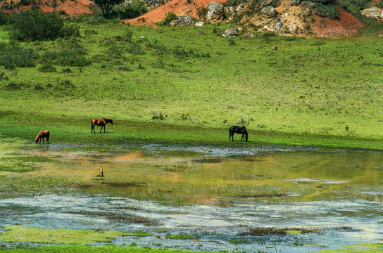Desierto de Sabrinski en Cundinamarca, paisaje entre tierras aridas y con follaje