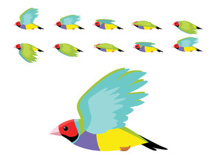 Gouldian Finch Flying Animation Cute Cartoon Vector Illustration
