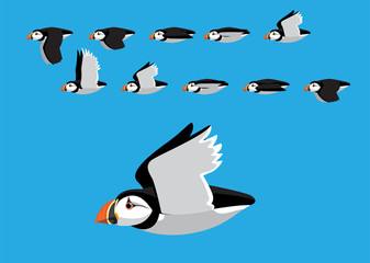 Atlantic Puffin Flying Motion Animation Sequence Cartoon Vector Illustration