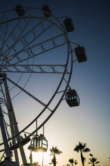 Noria en sanlucar de barrameda