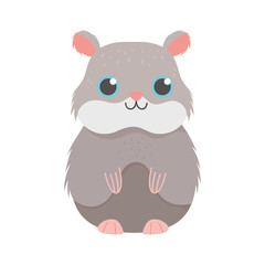 cute hamster rodent cartoon isolated white background design