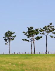 울타리와 잔디밭이 보이는 풍경