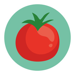 fresh tomato vegetable on round frame, in white background vector illustration design