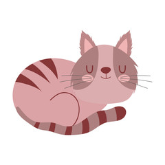 sleeping cute brown cat pet cartoon isolated white background design