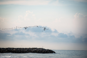Rioacha_Guajira_ Colombia, puerto de Riohacha con sobrevielo de aves 