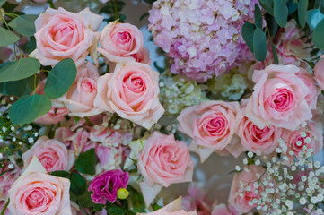 rose flower background,  colorful background
