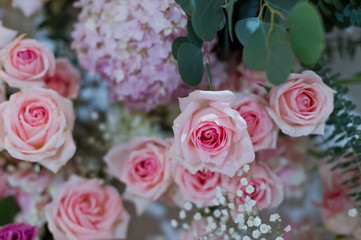 rose flower background,  colorful background