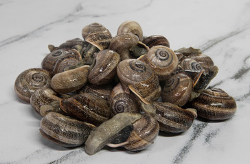Portuguese cuisine. Raw food products. Land snails ready for cooking, 