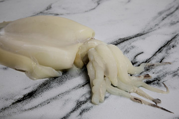 Gastronomy. Seafood delicacy. Closeup view of a raw white cuttlefish ready for cooking.