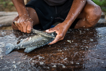 Preparaci&oacute;n de pescado para la venta en Puerto Carre&ntilde;o_Vichada en Colombia