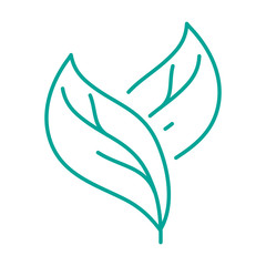 Modern line art solated green leaf icon 