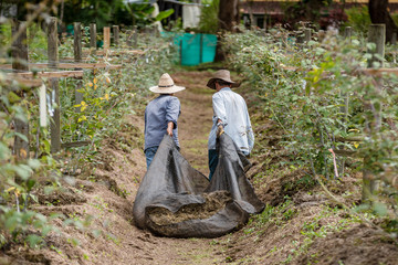 Producción Agricola en Rionegro Antioquia, Colombia, trabajo de floricultura y productos agrícolas 
