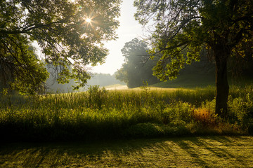 Sunrise over a green field with a starburst of bright light shining through trees