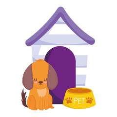 pet shop, dog sitting with bowl and house animal domestic cartoon