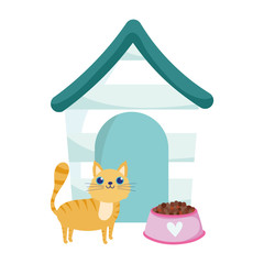 pet shop, cute cat house and food dish animal domestic cartoon