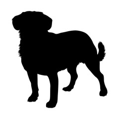 Entlebucher Mountain Dog Silhouette Found In Map Of Europe