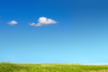 Blue sky and green grass  background