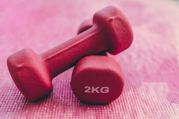 keeping fit and home fitness gear, pink dumbbells on feminine yoga mat