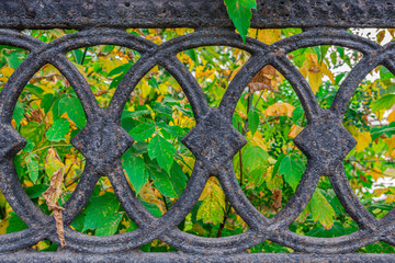 Round pattern element of vintage cast iron fence. It's autumn outside.
