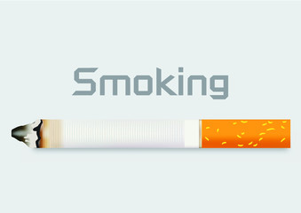 The cigarette isolated on a white background. Vector illustration.