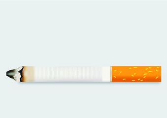 The cigarette isolated on a white background. Vector illustration.