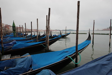 Fototapeta premium Gondolas, early morning, Venice, Italy.