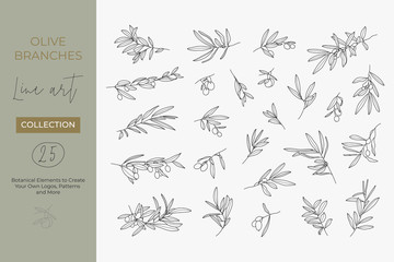 A set of Olive Branches in a Modern Linear Minimal Style. Vector Illustrations of Branches With fruits and Leaves for creating logos, patterns, greeting cards, wedding Invitations - 372388408