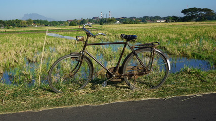 Fototapeta na wymiar Vintage bicycle in the countryside