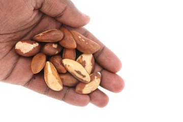 Brazil nuts isolated on white background closeup. Full depth of field