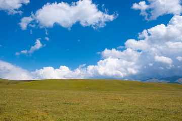 Beautiful green mountain valley with blue cloudy sky on background. Spring farm field landscape. Outdoor landscape. Sunset light. Mountain valley view. Summer nature landscape. Rural scenery.