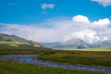 Beautiful green mountain valley with river and blue cloudy sky on background. Spring farm field landscape. Mountain valley view. Summer nature landscape. Rural scenery. Shalkode valley, Kazakhstan.