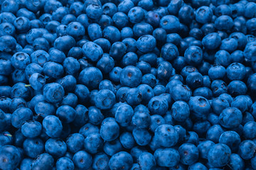 Fresh blueberry background.