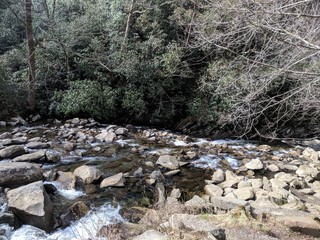 stream in the forest