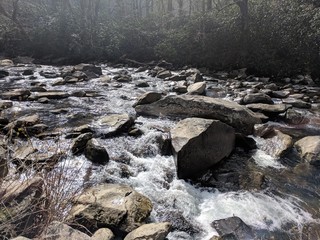 rocky river in forest