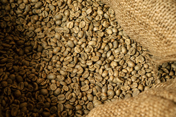 Green coffee bean raw in sack with scoop