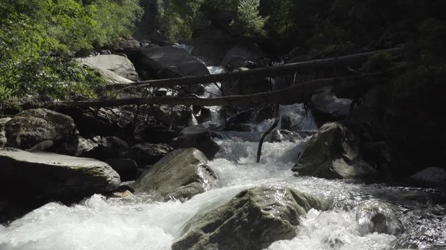 Pan down shot of one of the hidden rivers in the forests of Venosc, in French Alps. 4K