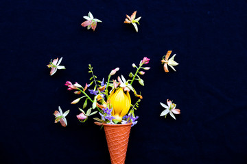 tamarind flower ,yellow flowers ylang ylang in cone herbal plant local flora of asia in spring...