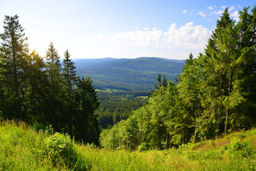 Fototapeta na wymiar Summer landscape in National Park Sumava. Viewpoint under the top of Pancir mountain. Czech republic.