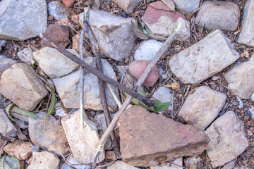 Pieces of dried stick and some stones image for background use