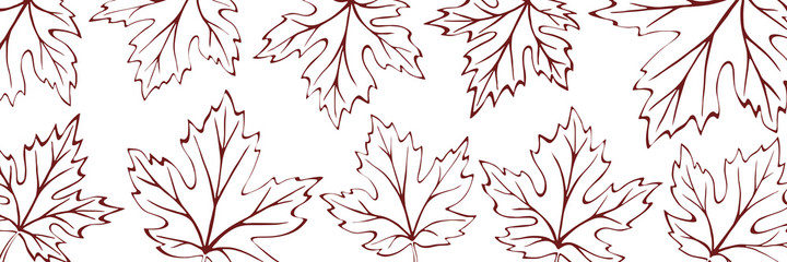 Fototapeta na wymiar Autumn background of leaves, vector design, banner