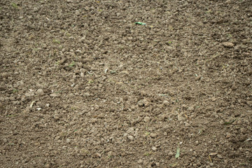 soil background and texture 
