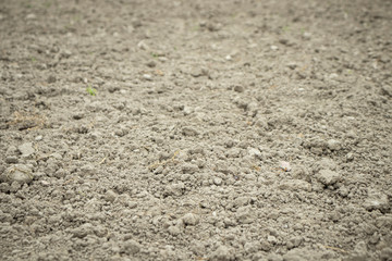 soil background and texture 

