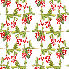 Seamless pattern with red berries of barberry