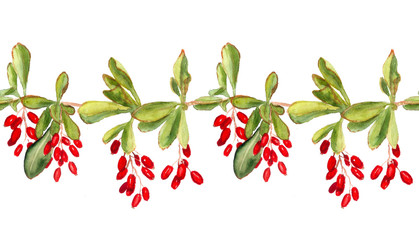 Seamless pattern with red berries of barberry
