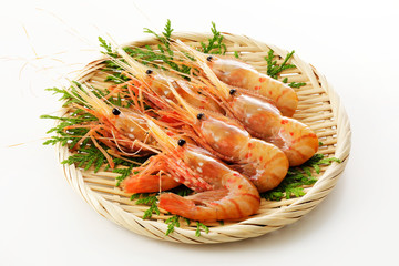 牡丹海老(白背景)　Spot Prawns on white background