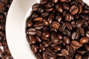 coffee beans in a cup