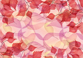 pink and yellow autumn leaves background