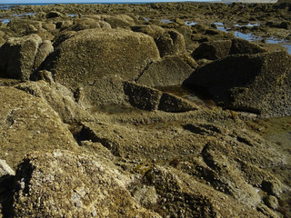Rochers de bord de mer à marée basse