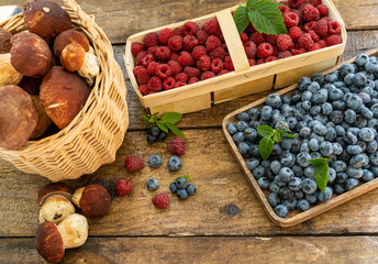 Harvest of berries and mushrooms in August in the Moscow region, Russia